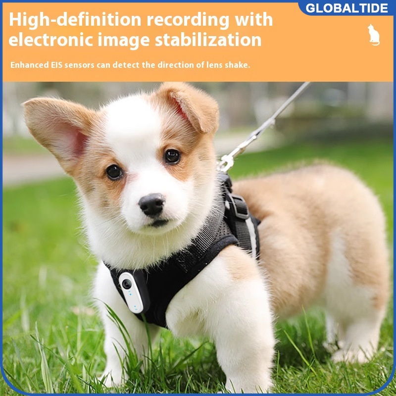 Outdoor Adventure Hours - Mini caméra corporelle étanche pour chiens